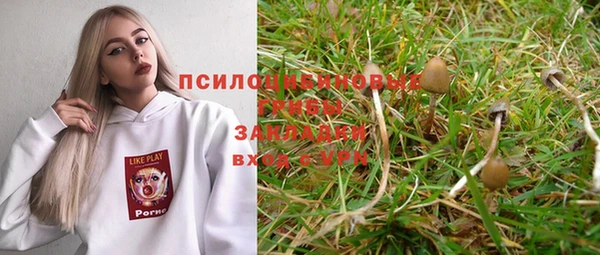 прущая мука Магадан