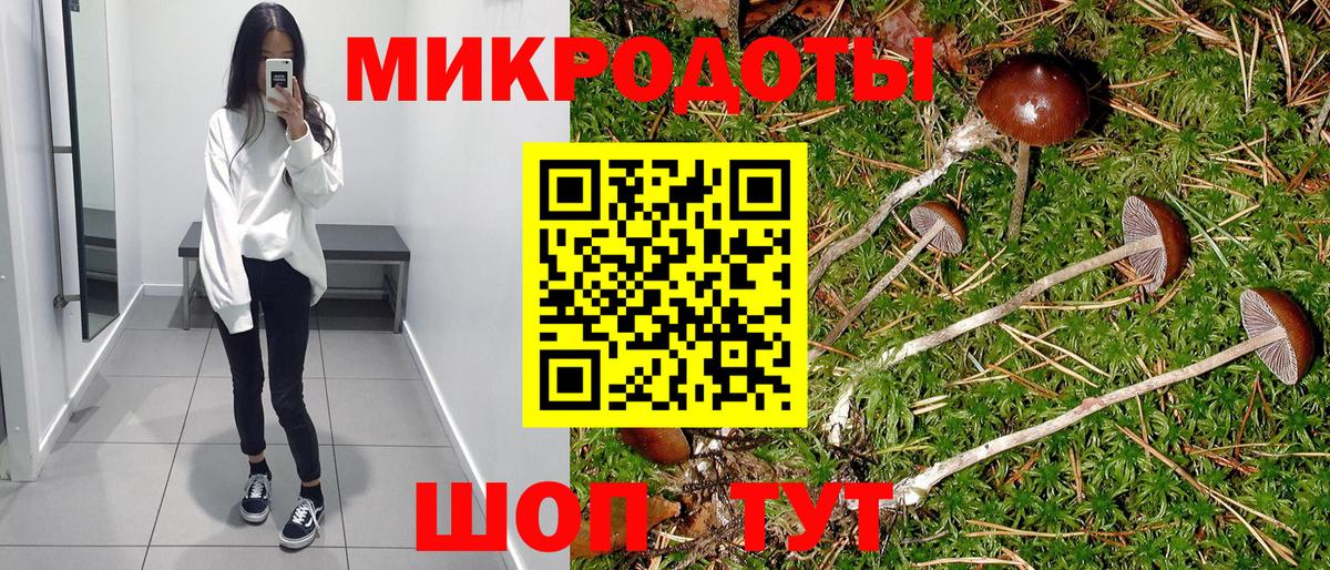 Псилоцибиновые грибы GOLDEN TEACHER Топки