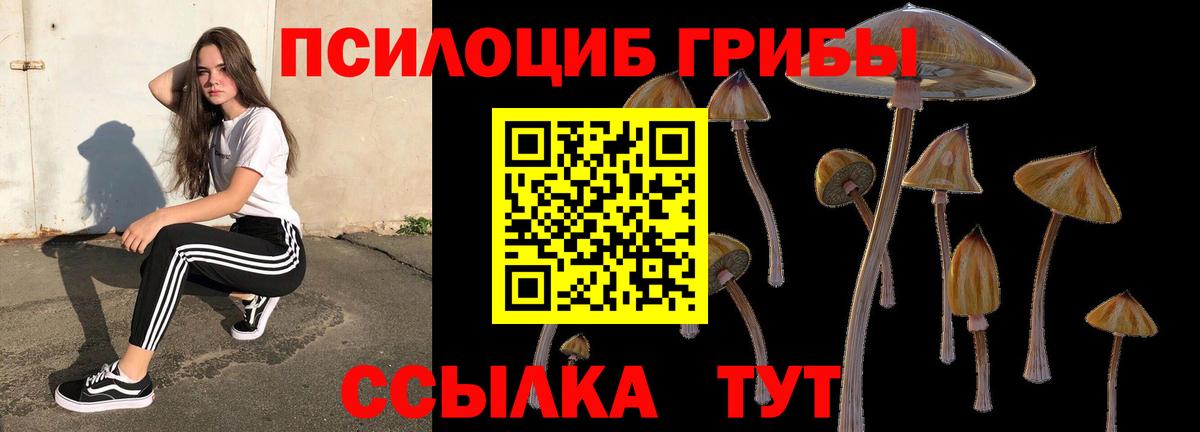 Псилоцибиновые грибы ЛСД  Вход с VPN  Топки 