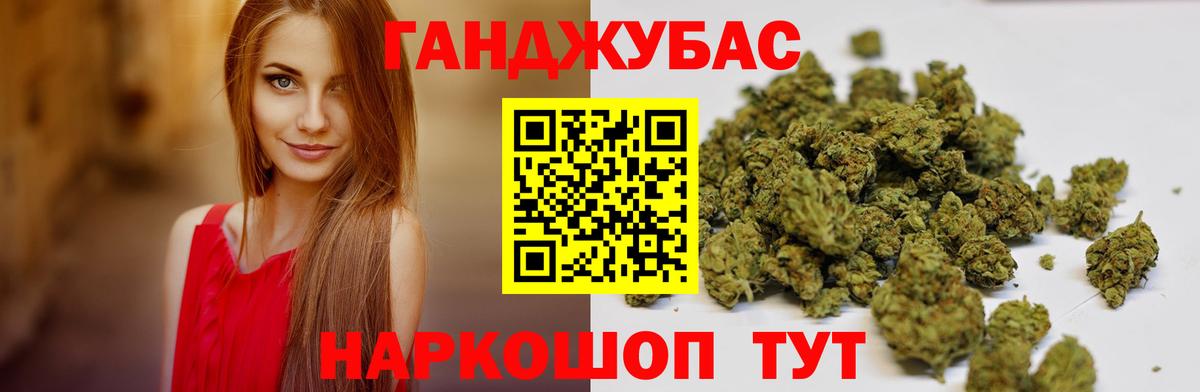 Конопля сатива Топки
